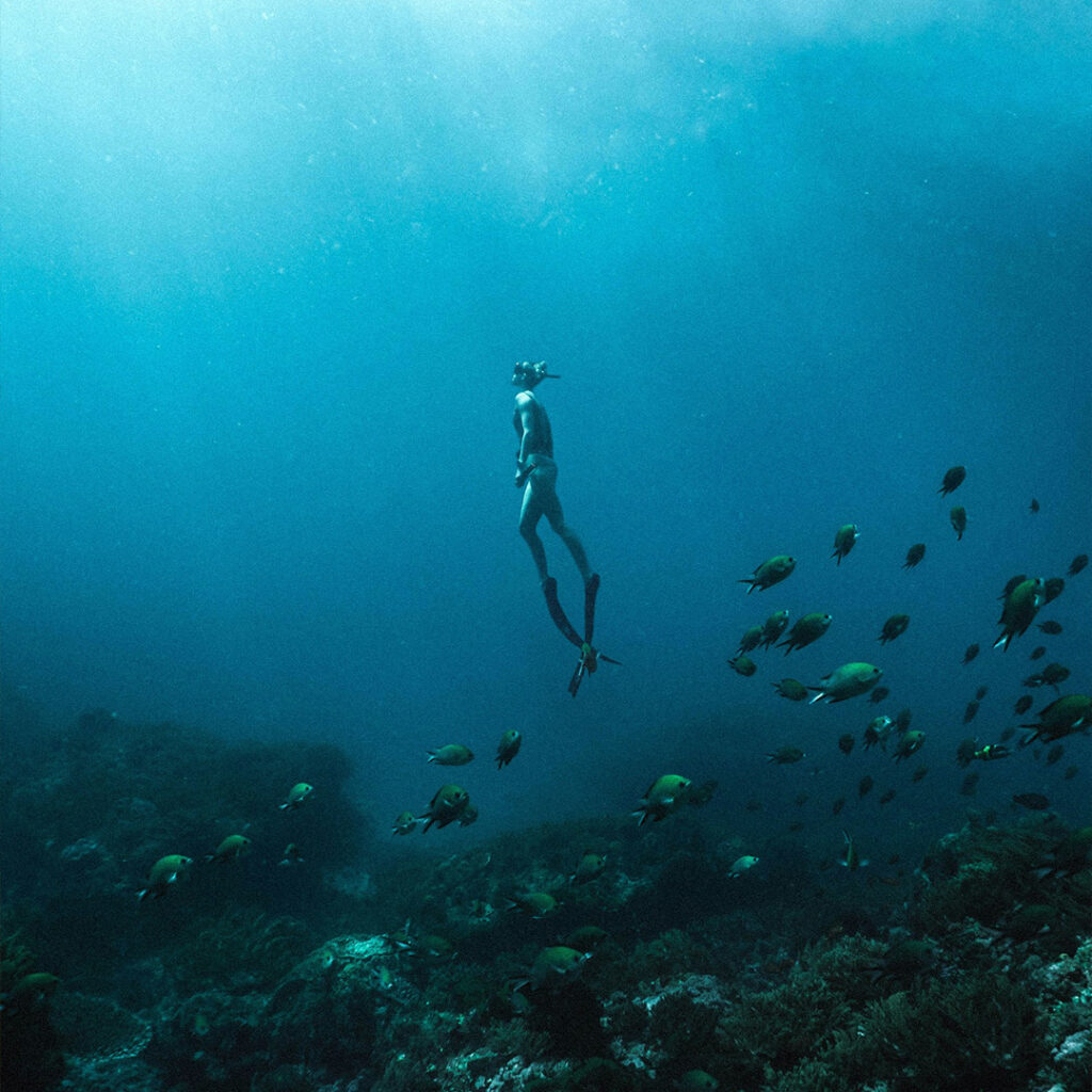Plongée Saint Raphaël